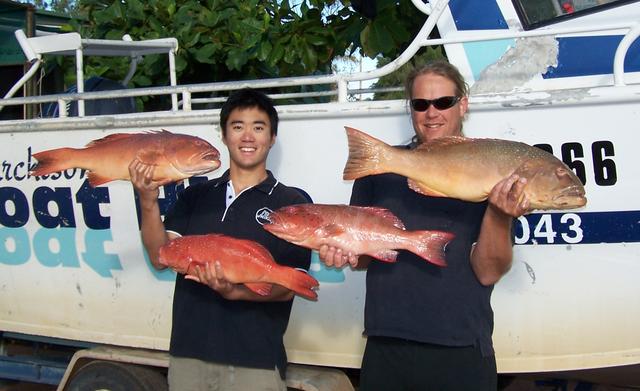 More Onslow Trout